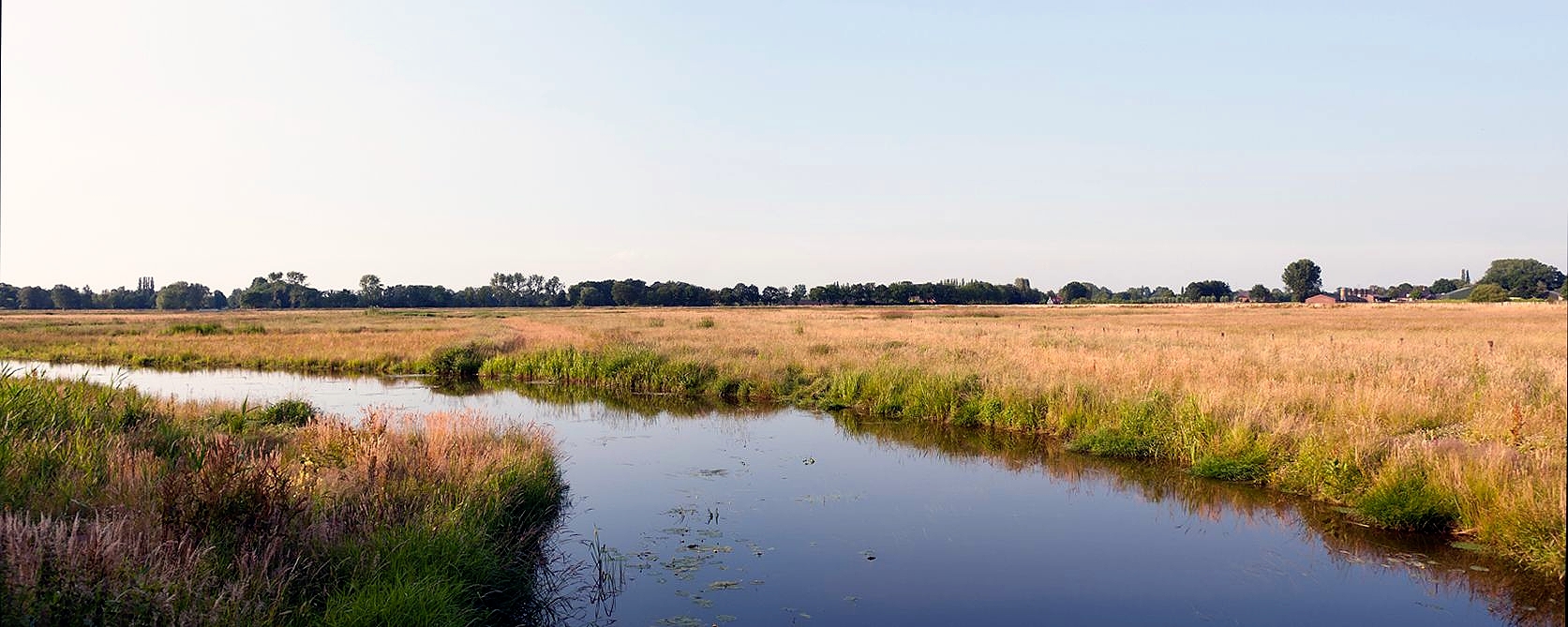 Brabant landscape