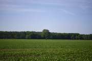 DSC1469