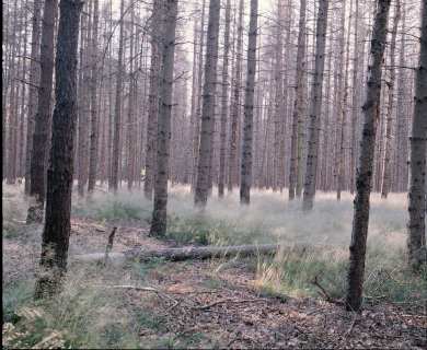 2020-20-06-005