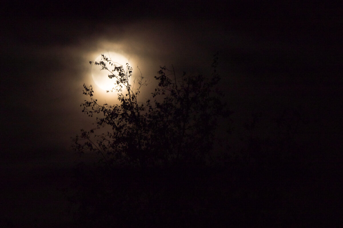 October 16th 2016 – Supermoon