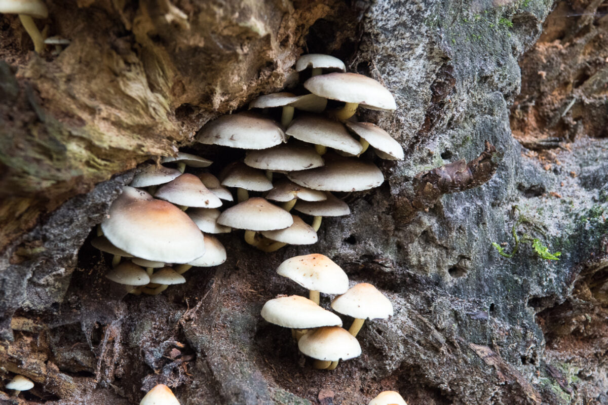 November 6th, 2016 – Autumn