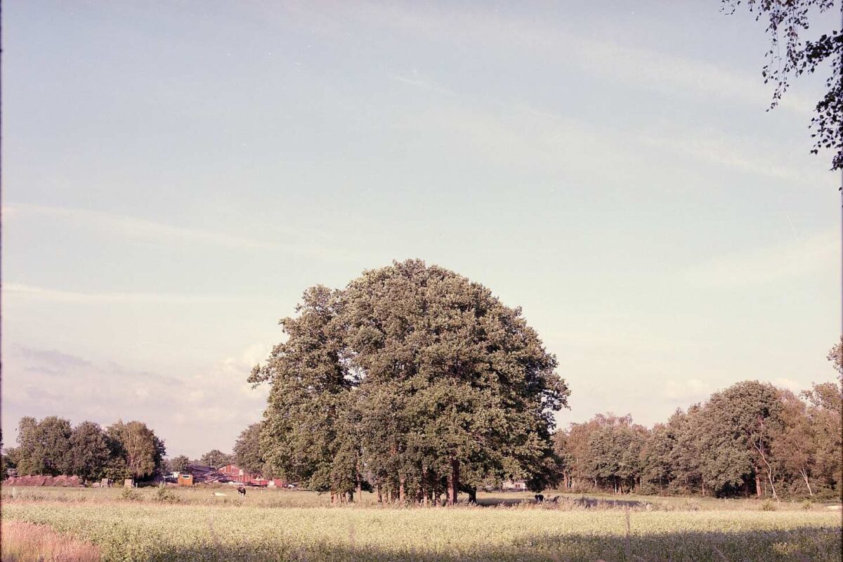 June 28th, 2020 – Medium Format Film RB67