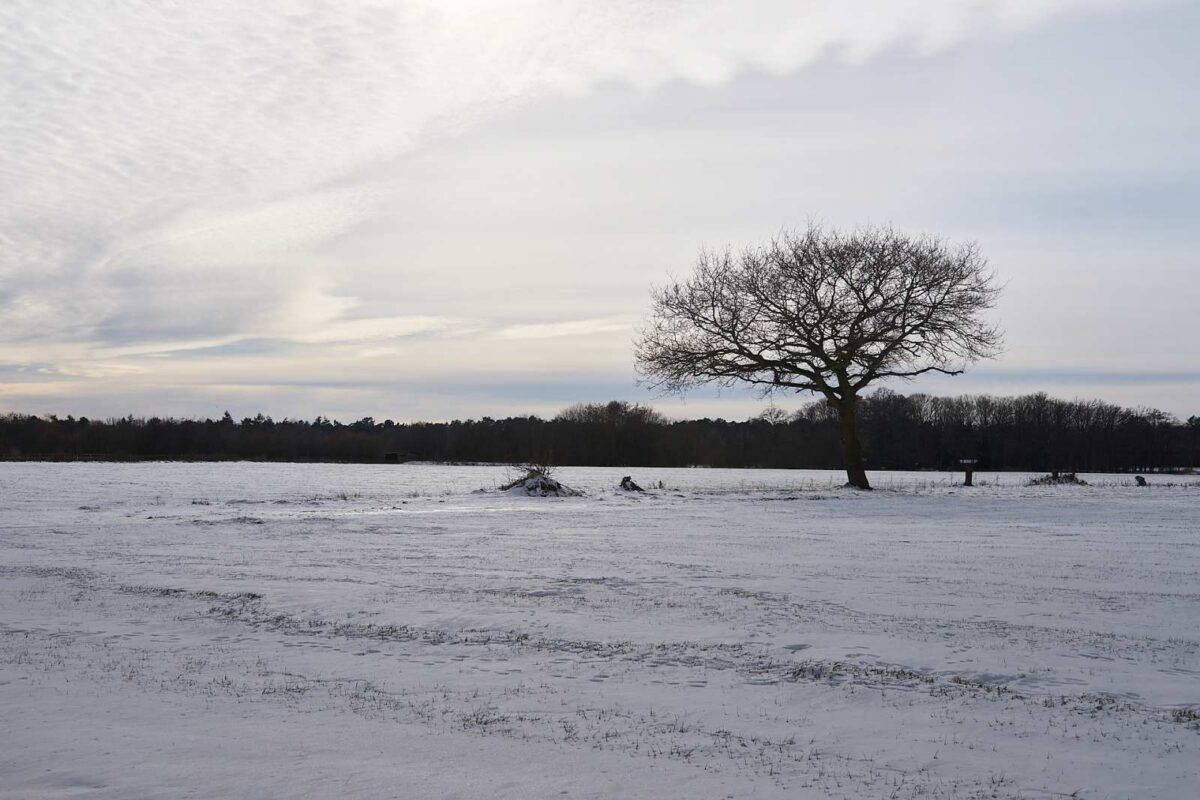 February 14th 2021- Last day of winter