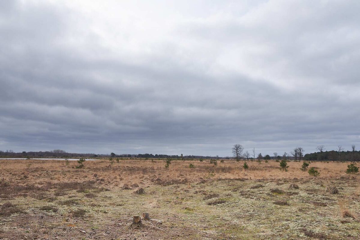 March 21th 2021- De Plateaux