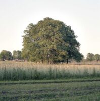July 1st 2023 – Random