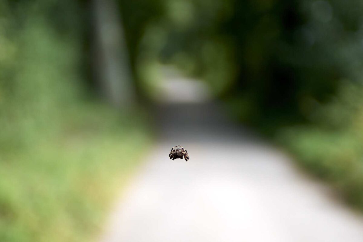 August 29th, 2024 – Just hanging there