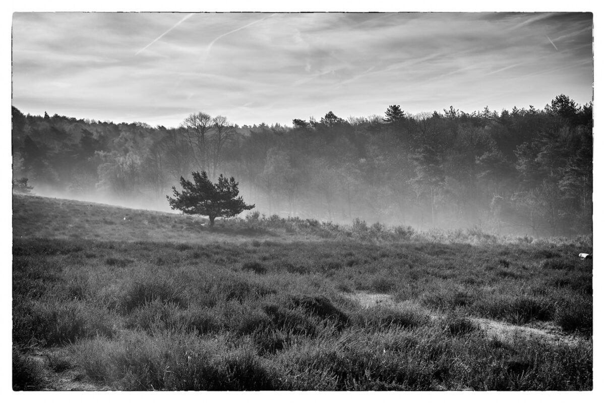 April 18th, 2026 – Gelderland