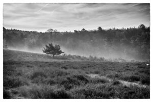 April 18th, 2026 – Gelderland