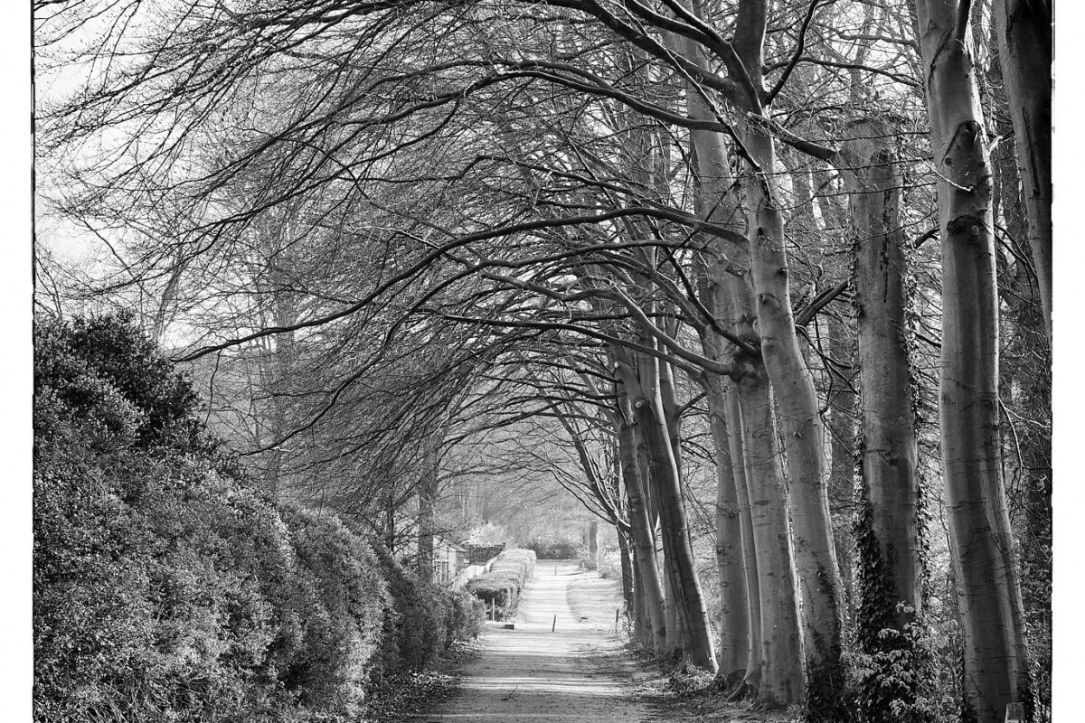 April 19th, 2026 – Gelderland