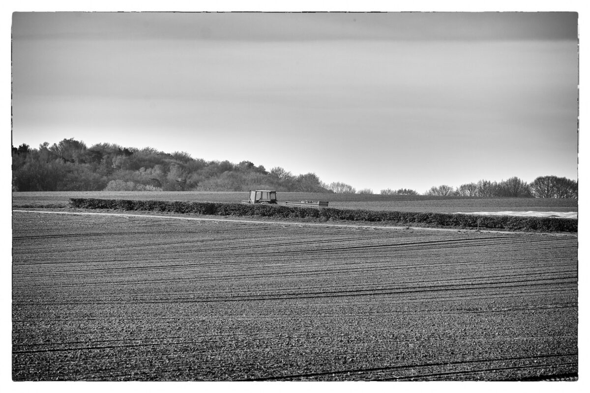 April 22nd, 2026 – Gelderland