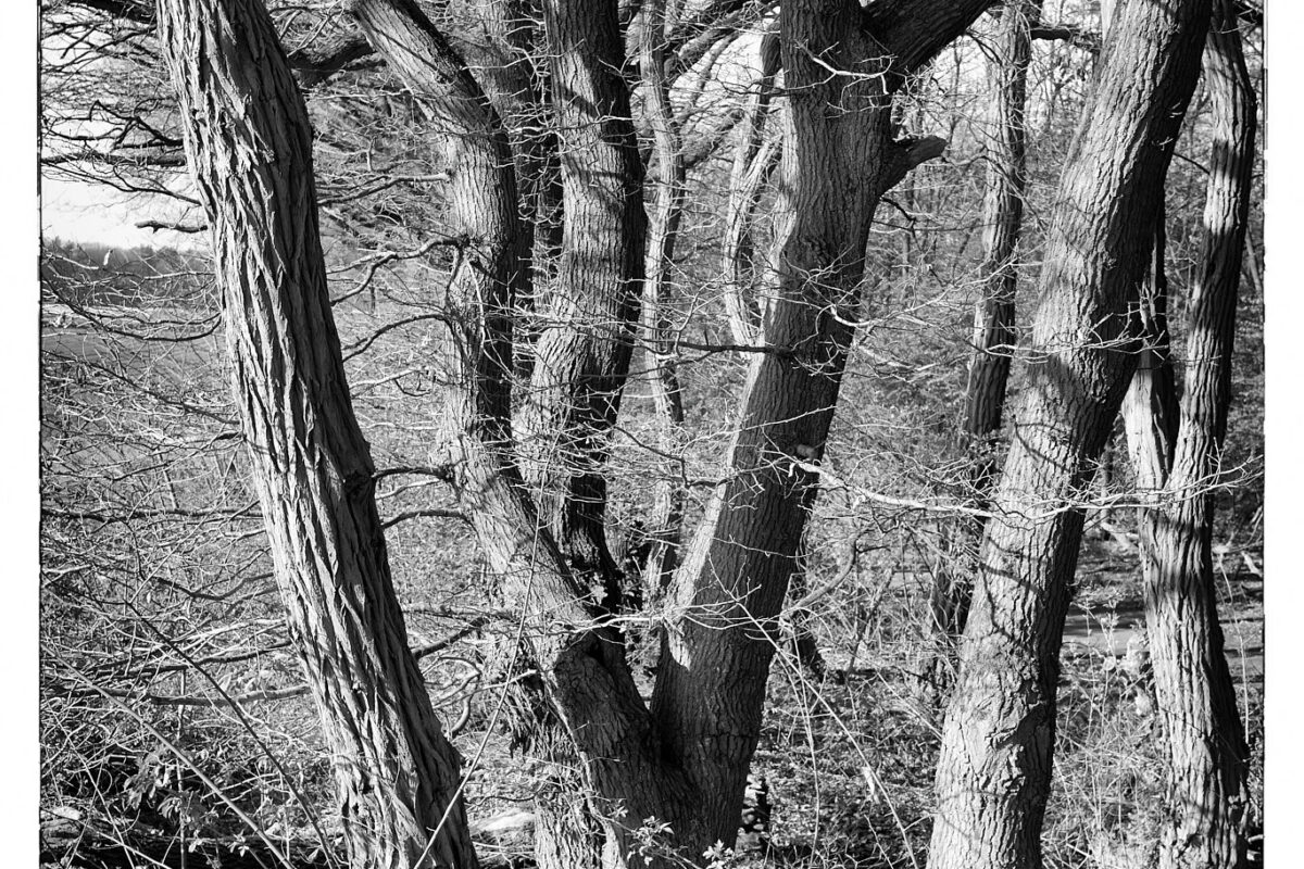 April 23rd, 2026 – Gelderland