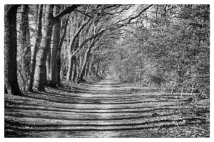 April 24th, 2026 – Gelderland