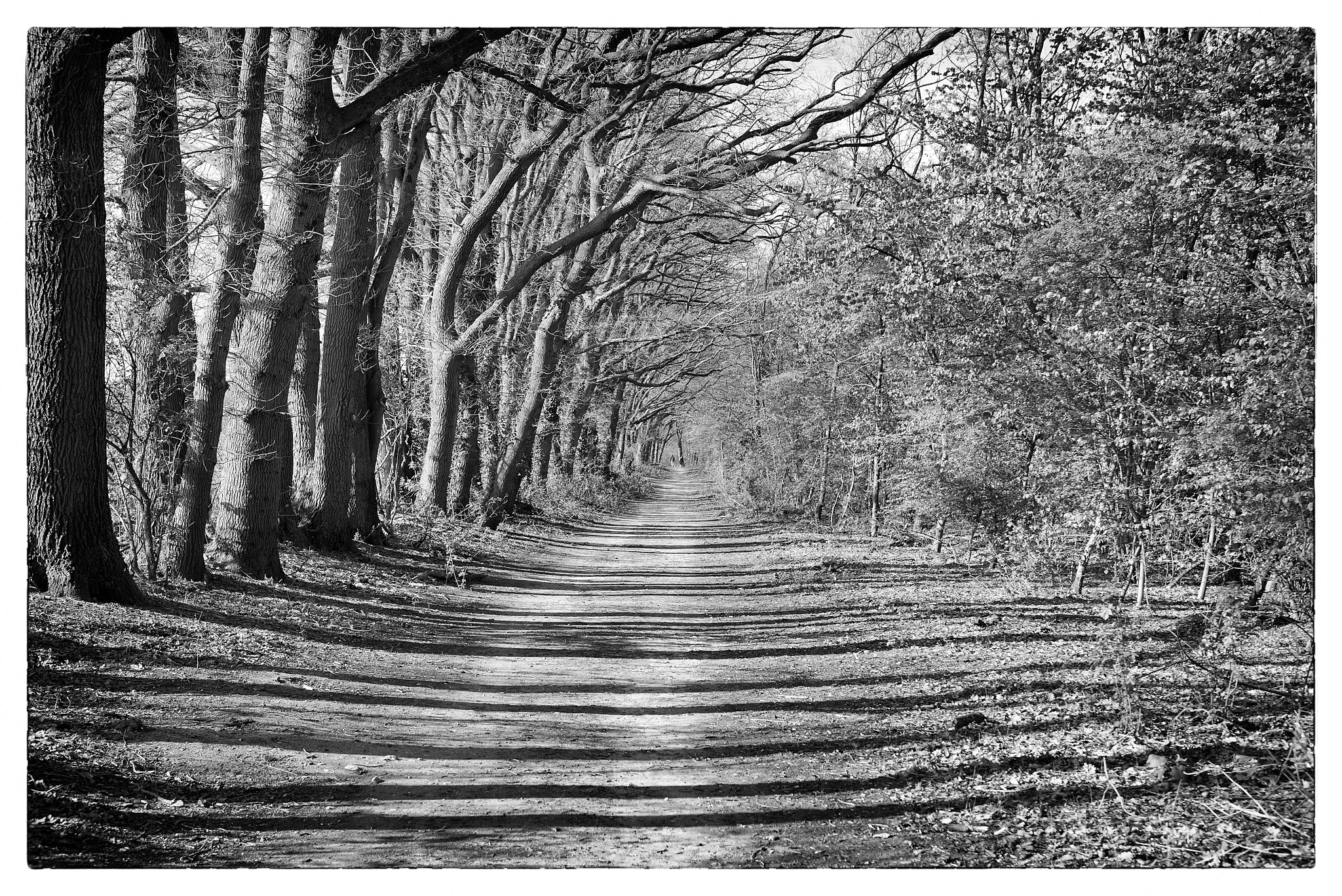 April 24th, 2026 – Gelderland