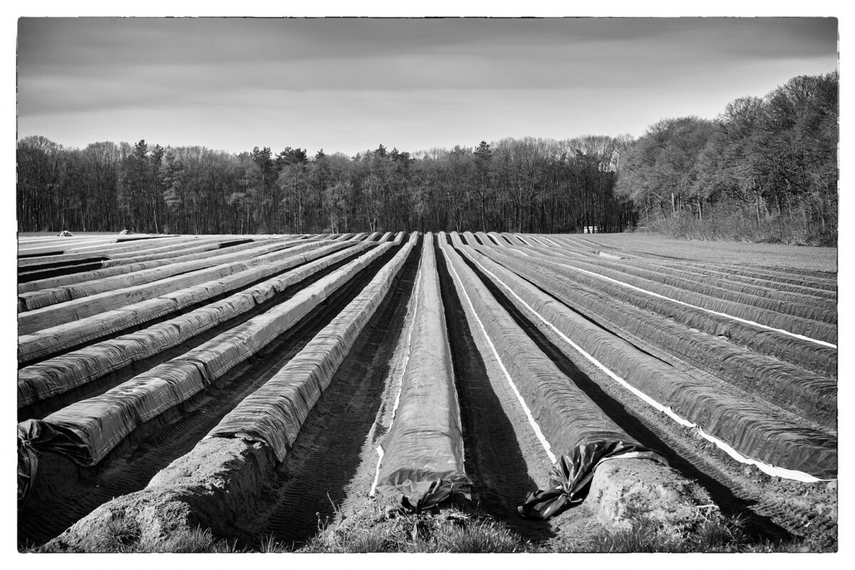 April 26th, 2026 – Gelderland