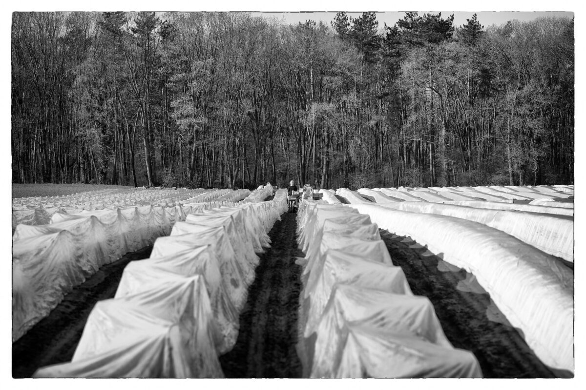 April 27nd, 2026 – Gelderland
