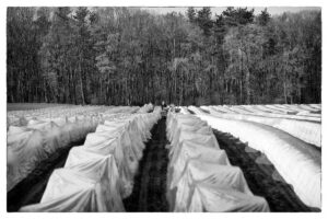 April 27nd, 2026 – Gelderland