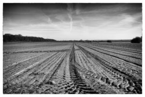 April 28th, 2026 – Gelderland